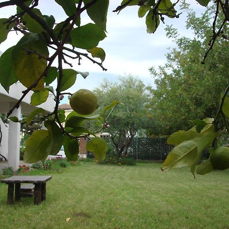 Galtellì Grazia Deledda B&B 외부 사진
